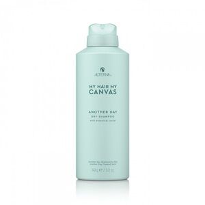 Alterna My Hair My Canvas Another Day Dry Shampoo NEW
